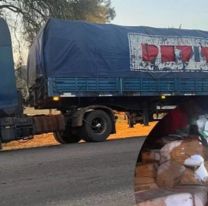 Salta no avanza contra la causa de Petit Plast a pesar de las denuncias