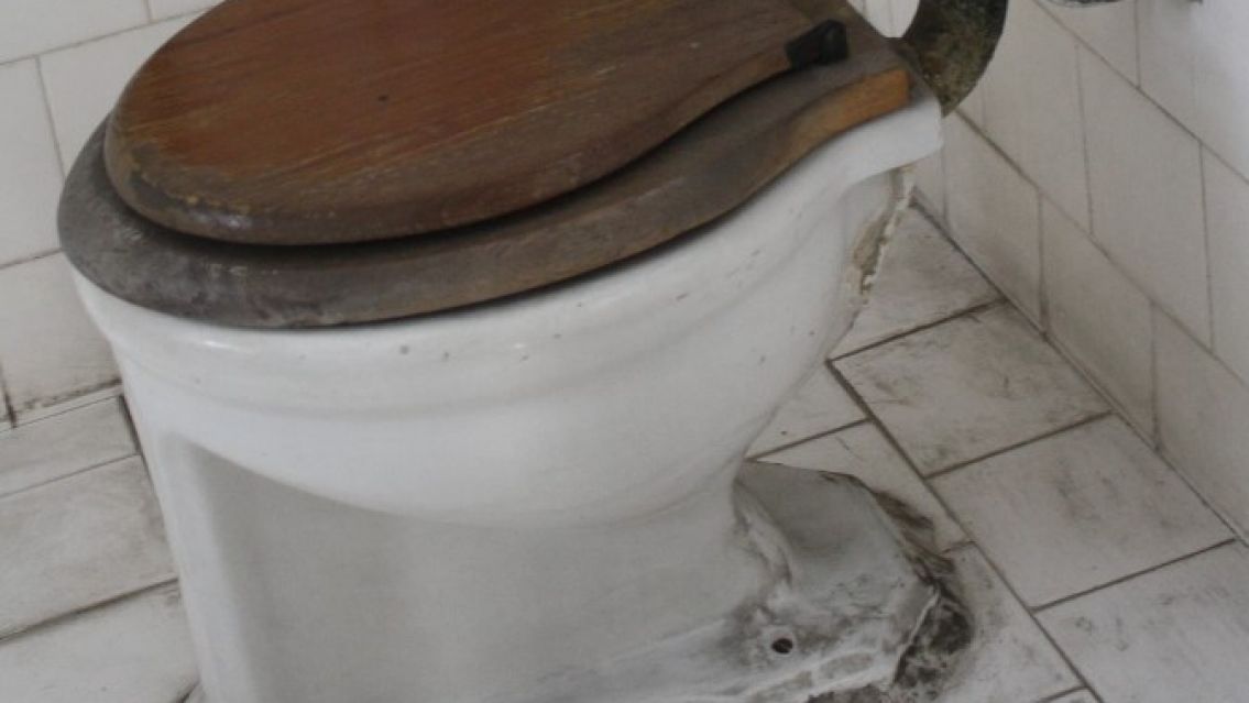 Por qué hay que tirar la cadena del inodoro con la tapa abajo