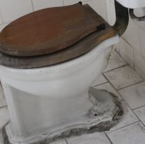 Por qué hay que tirar la cadena del inodoro con la tapa abajo