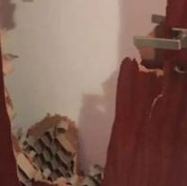 Adolescente jujeño desesperado por comprar droga agarró a patadas a su hermana embarazada