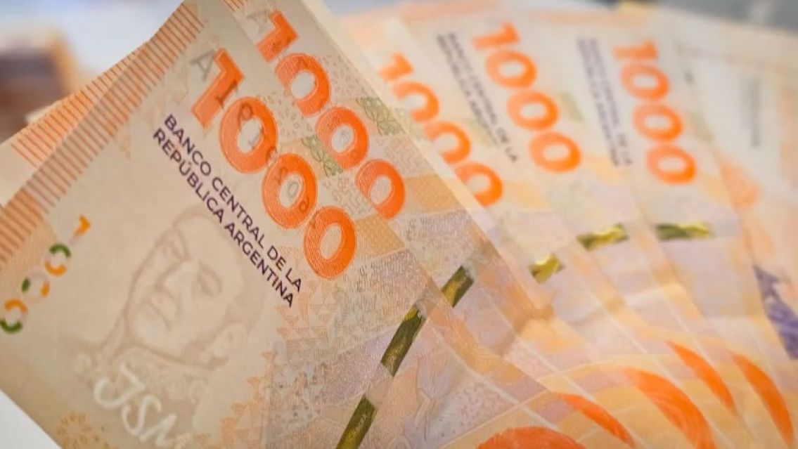 A lo Javier Milei, diputado jujeño va a sortear su jugoso sueldo