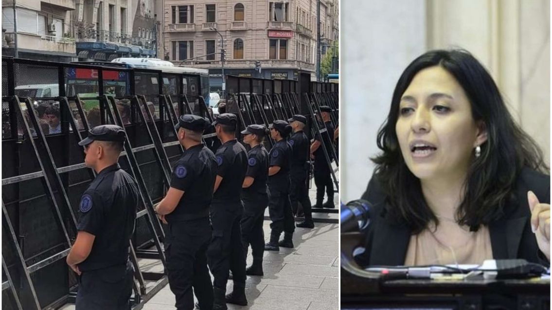 Ley �mnibus: Chaher indignada por las vallas en el Congreso