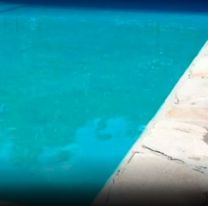 Murió un bebé en un hospital: la madre no sabía que estaba internado