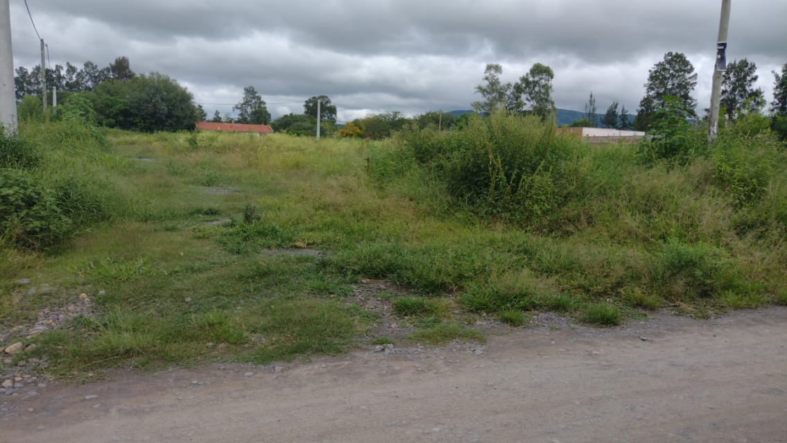 "No quiero ir a tu casa porque me quer�s matar", dijo eso y apareci� muerta. Ten�a 18 a�os