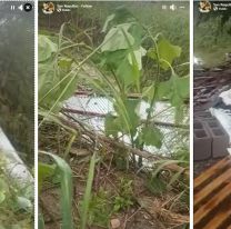 El Hogar San Roque quedó destruido: Su dueña hizo un desesperado pedido