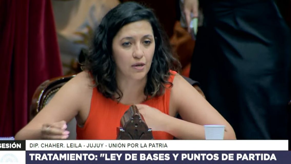 Leila Chaher propuso un cuarto intermedio y responsabiliz� a Bullrich por la represi�n