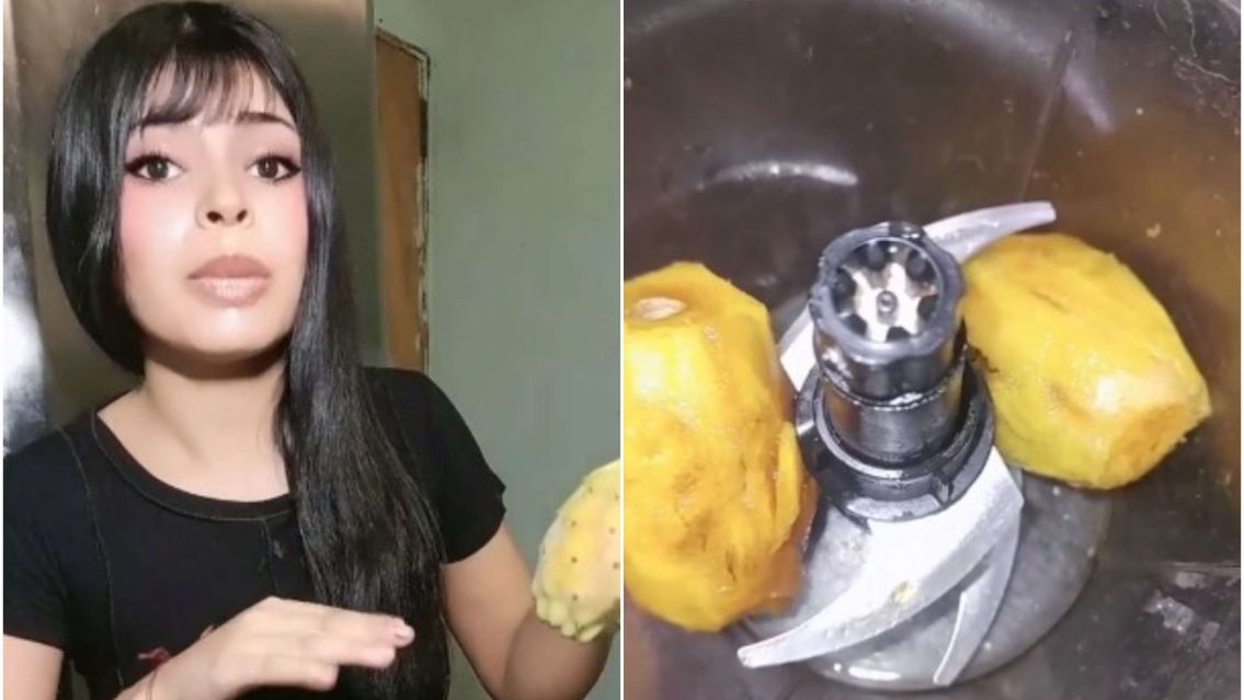 Helado por 200 pesos: Jael sorprende con una nueva receta de tuna 