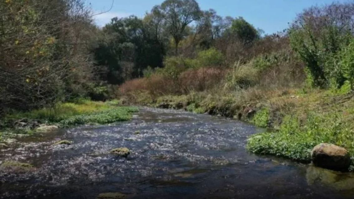 Llevó a su cuñada al río, le dio algo de tomar y le hizo lo peor: la grave denuncia