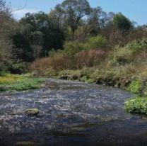 Llevó a su cuñada al río, le dio algo de tomar y le hizo lo peor: la grave denuncia