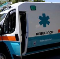 Changuito cayó de una camioneta en movimiento y murió