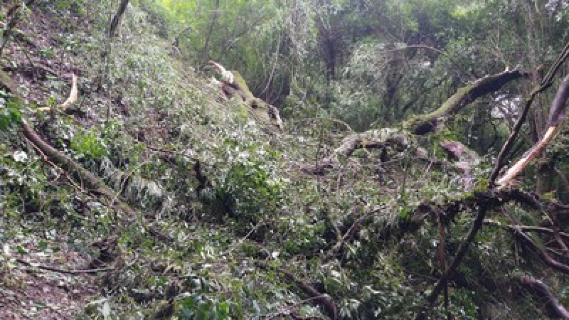 Le cortaron las u�as y dejaron su cuerpo "acomodado", una norte�a apareci� muerta