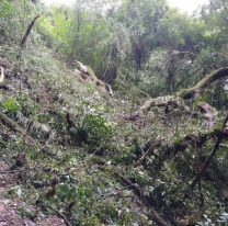 Le cortaron las u&ntilde;as y dejaron su cuerpo "acomodado", una norte&ntilde;a apareci&oacute; muerta