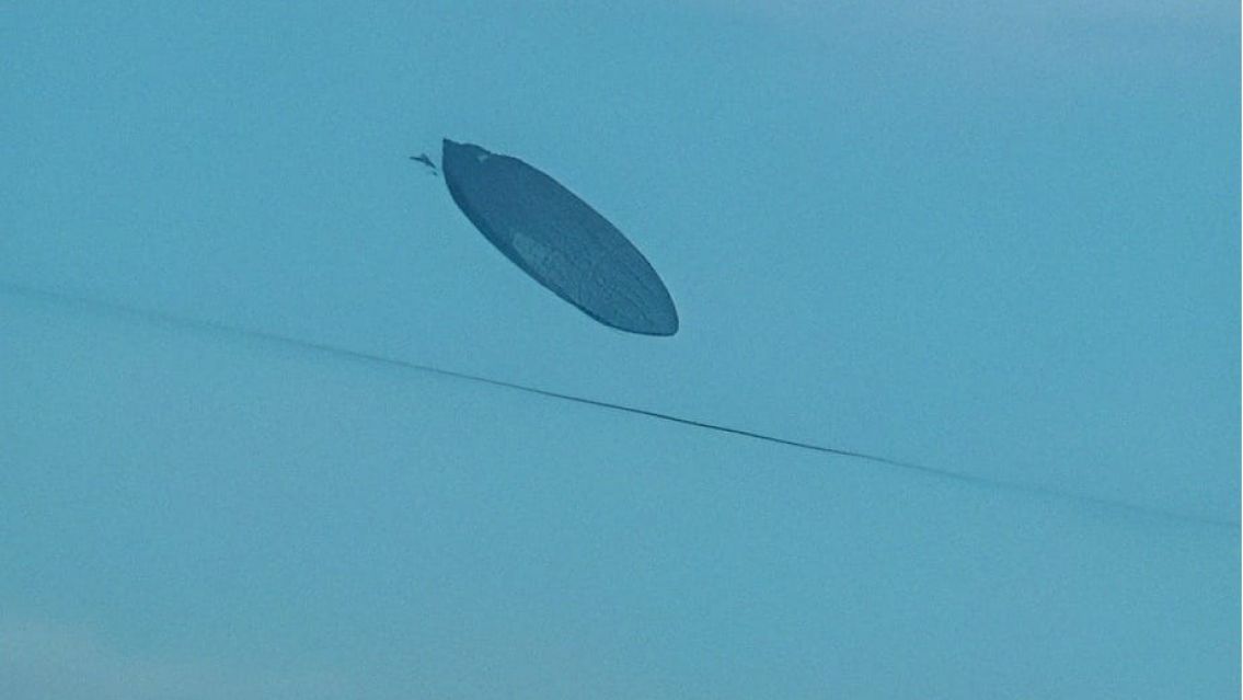 Conmoción por las fotos: Captaron un ovni en el norte argentino