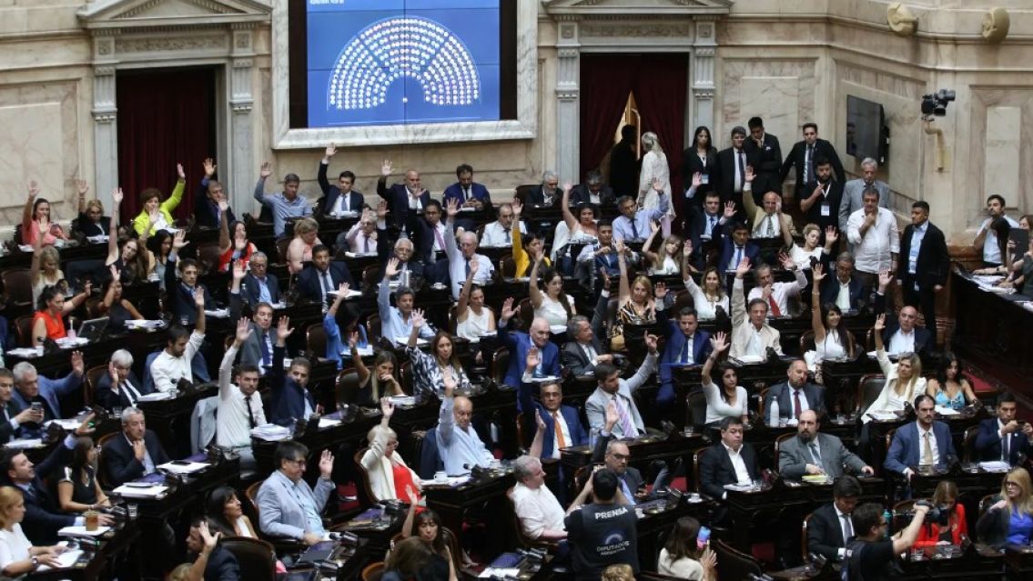 Diputados reinician sesi�n para debatir la Ley �mnibus en particular