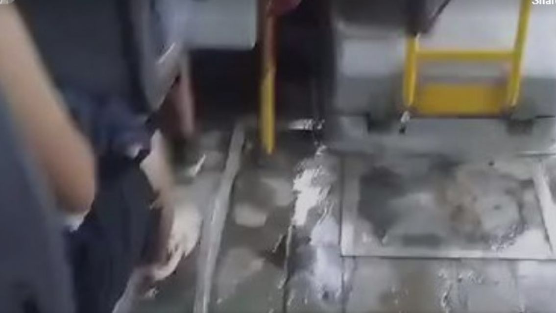 Denuncian p�simas condiciones en colectivos de la empresa Santa Ana