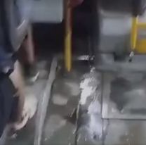 Denuncian p&eacute;simas condiciones en colectivos de la empresa Santa Ana