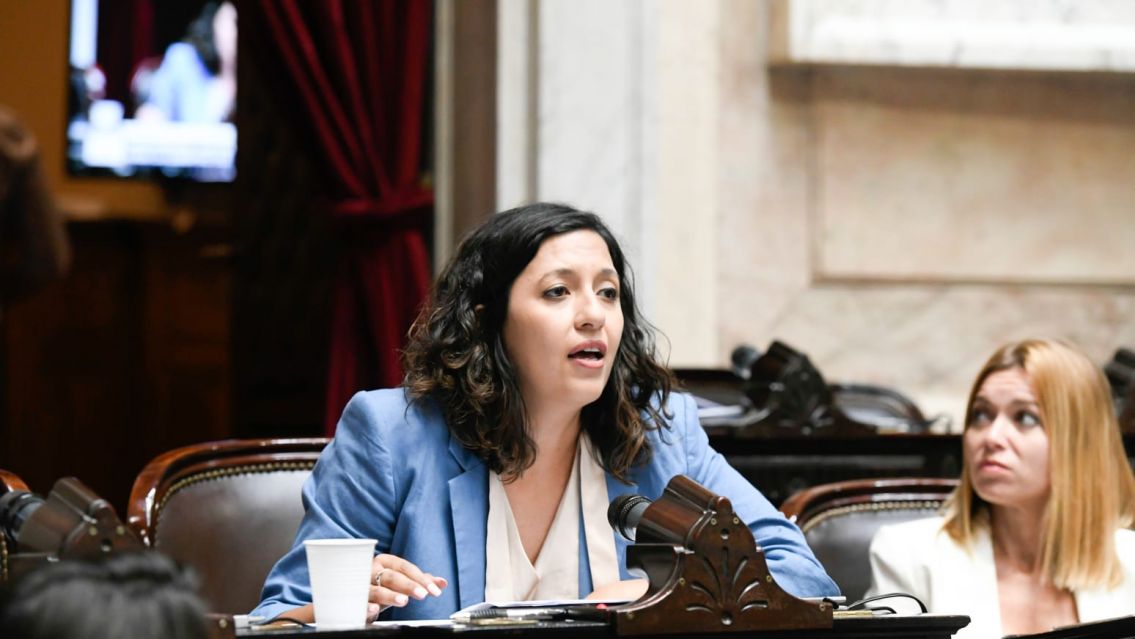 Leila Chaher la �nica peronista juje�a que voto en contra de la ley �mnibus