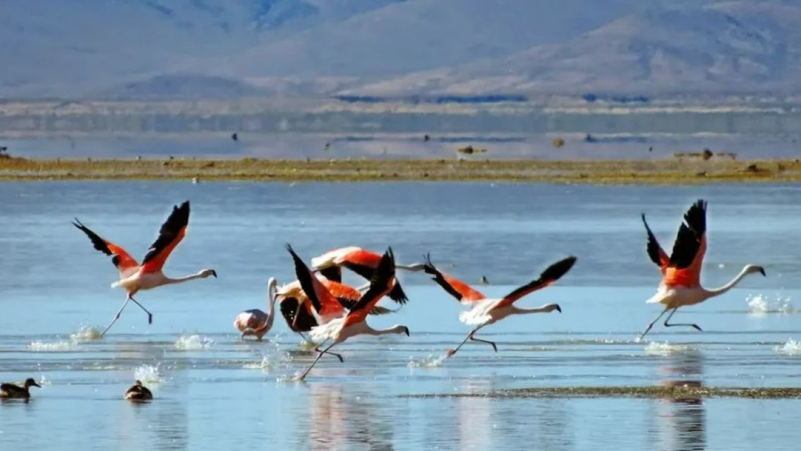 Cerraron la Laguna de Pozuelos por el estado del camino