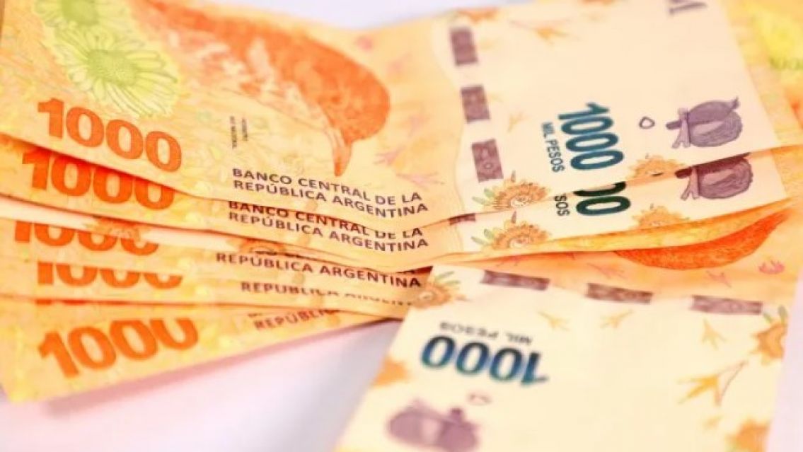 El extra que pagar� ANSES: qui�nes lo cobrar�n