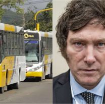 Milei eliminó los subsidios al transporte que iban a las provincias: Drástica decisión