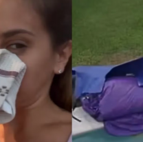 El doloroso accidente que sufri&oacute; Cinthia Fern&aacute;ndez: casi termina en el hospital