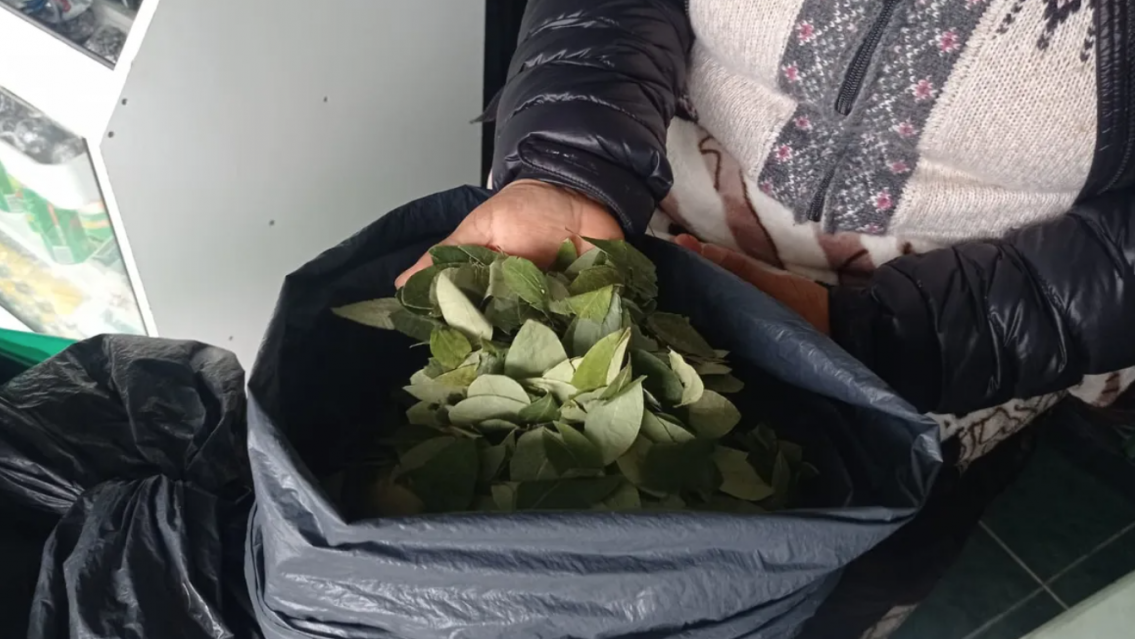 Una buena: baj� la coca en Jujuy