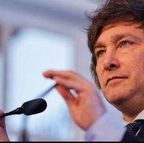 El gobierno de Javier Milei logró superávit financiero por primera vez en 12 años