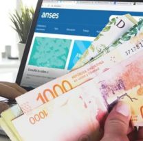 [ATENCI&Oacute;N] C&oacute;mo solicitar la ayuda de $70.000 de ANSES: la cobras en marzo