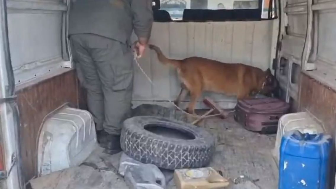 Viajaban por una ruta juje�a en una camioneta destartalada y un perro los delat�