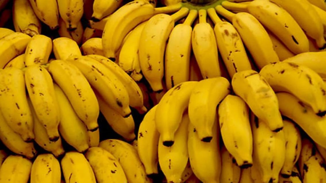 Comer bananas en Jujuy es s�lo para millonarios: las pocas que hay, car�simas