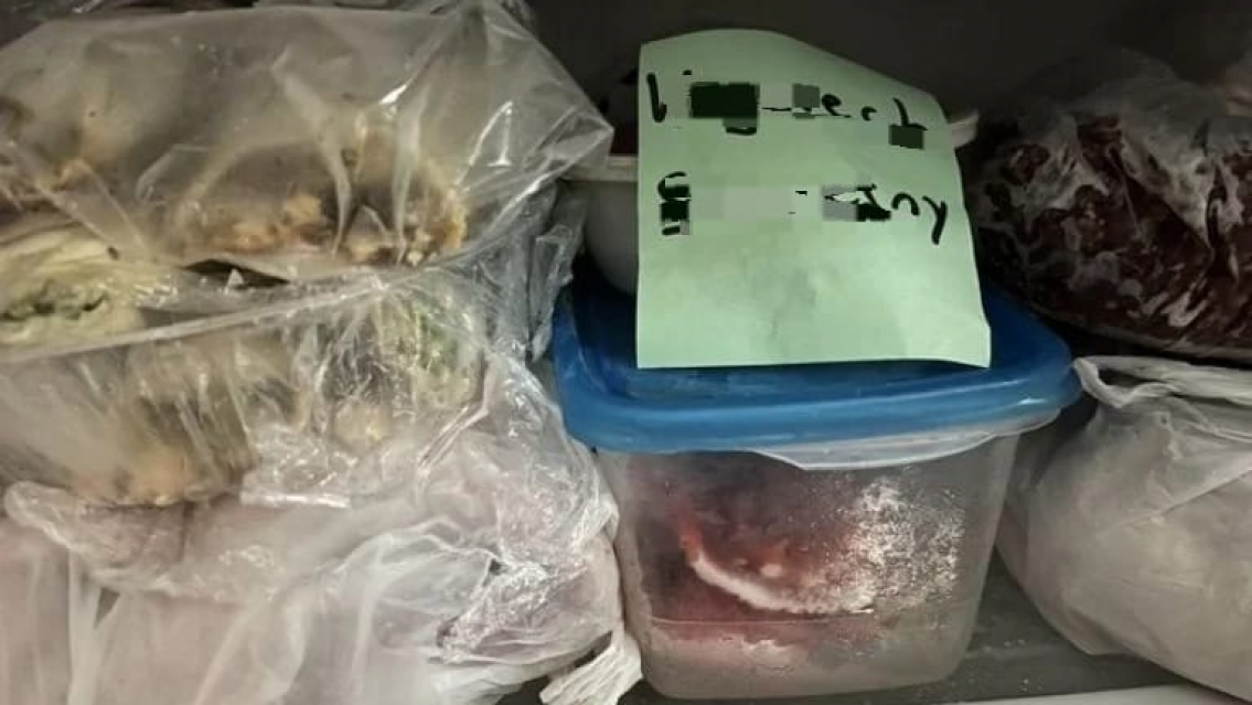 ¡Me congelaron, me metieron al freezer! ¿Qué significa? Encontró su nombre...