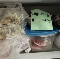 &iexcl;Me congelaron, me metieron al freezer! &iquest;Qu&eacute; significa? Encontr&oacute; su nombre...