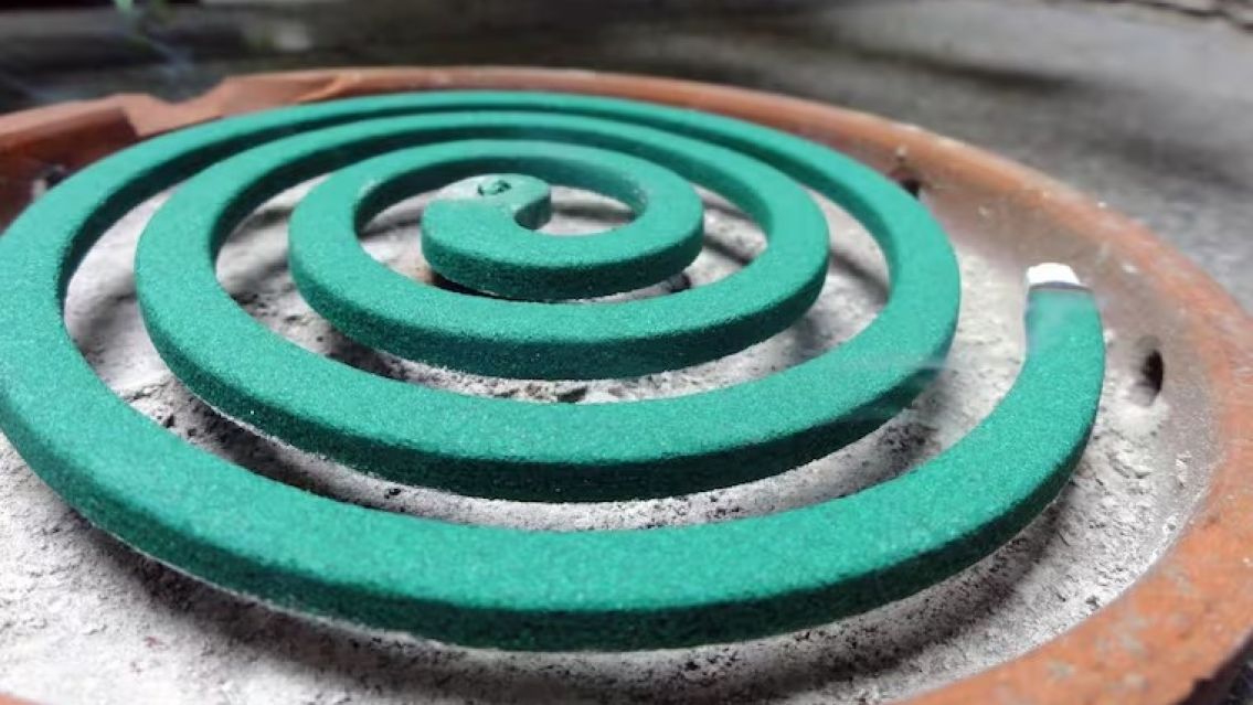 [ATENCI�N] Chau espiral: la t�cnica casera para ahuyentar mosquitos