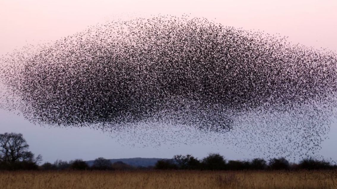 Mam� y su beb� entraron a los gritos a un local de Jujuy: una "nube negra" casi los mata�