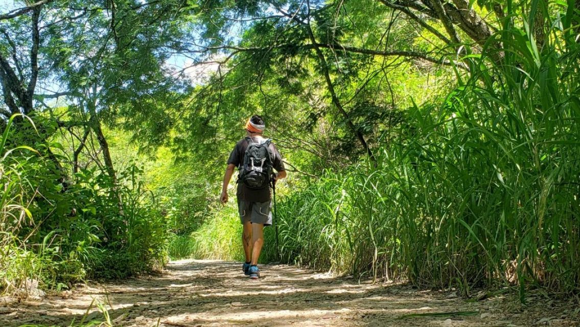 Cuántos pasos hay que caminar por día para tener buena salud