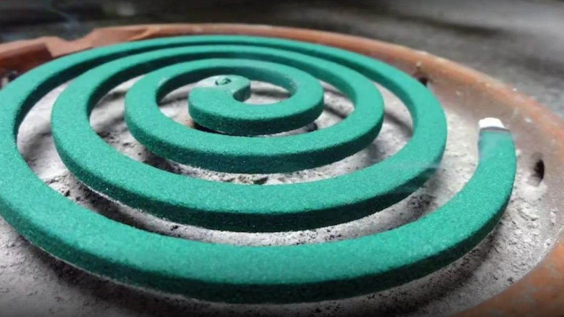 [ATENCI�N] Chau espiral: la t�cnica casera para ahuyentar mosquitos