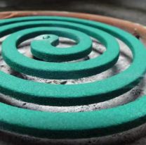 [ATENCI&Oacute;N] Chau espiral: la t&eacute;cnica casera para ahuyentar mosquitos