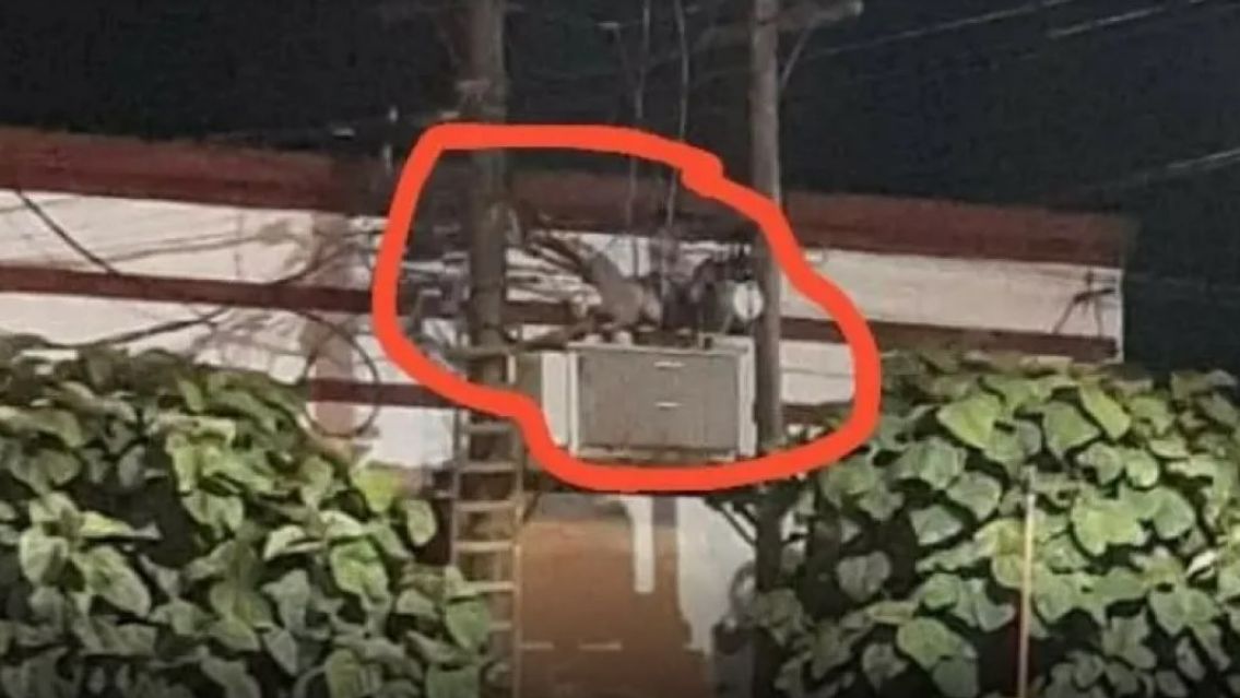 Entr� a robar a la casa de su vecino y muri� electrocutado