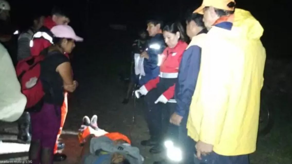 Terror en los cerros jujeños: una serpiente mordió a una mujer y casi muere