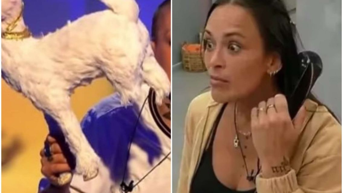 Agostina se fue de Gran Hermano pero se veng� con el reno de Furia