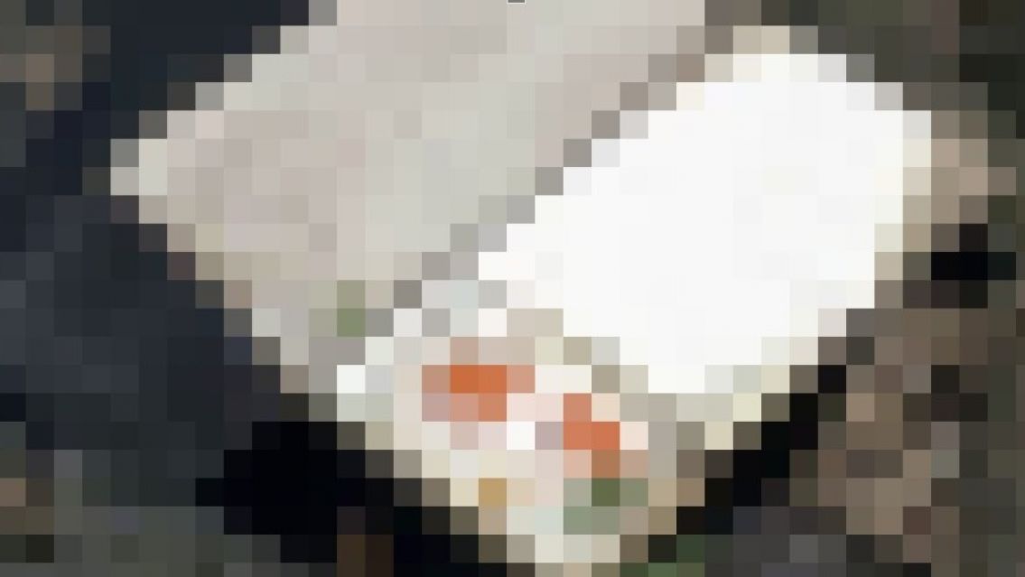 Encontraron el cuerpo de una mujer adentro de una heladera y arrestaron a su hija de 13 a�os