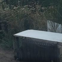 Hallan el cuerpo de una mujer en una heladera y detuvieron a su hija de 13 y al "novio"