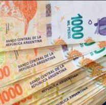 ANSES paga un bono de fin de año a 4 grupos: ¿Cuáles son?