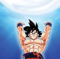 Fans juje&ntilde;os har&aacute;n la &uacute;ltima "genkidama" en honor a Akira Toriyama