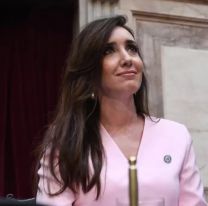 Villarruel incluir&aacute; el tratamiento del mega DNU en la sesi&oacute;n de este jueves