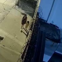 Intentaron de todo para robarle a una mam&aacute; y su hijita: qu&eacute; pas&oacute;