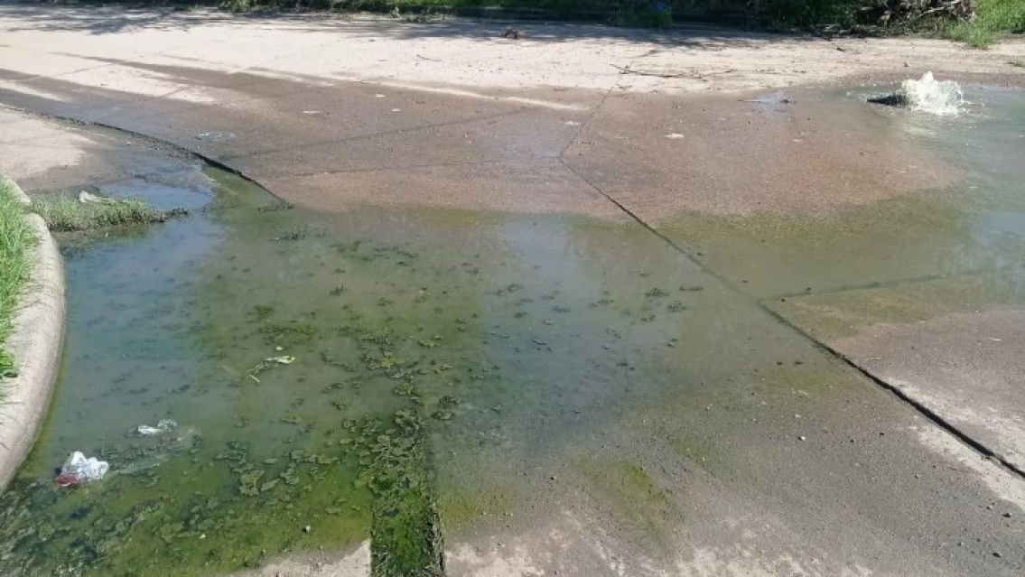 En plena ola de calor las cloacas rebalsaron en Palpal� y culparon a los vecinos