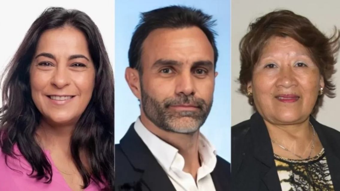 Senado rechaz� el DNU de Milei: as� votaron los legisladores juje�os