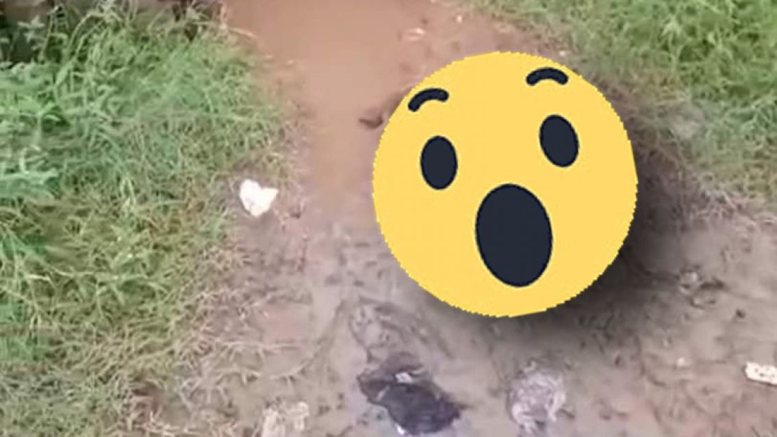 Sali� al fondo de su casa y encontr� algo horroroso: llam� al 911