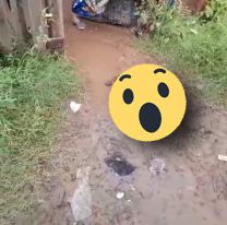 Salió al fondo de su casa y encontró algo horroroso: llamó al 911